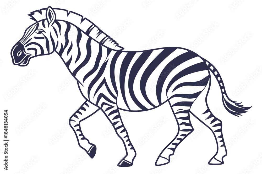 Obraz premium Graceful zebra strides forward with distinct black and white stripes against a clean background