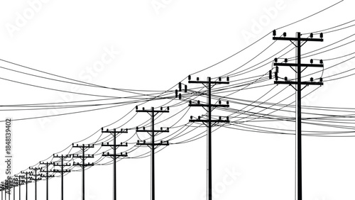 Utility pole, power lines, silhouette, black and white, infrastructure, electricity, overhead, technical sketch, connected, crisscross, curve, dense, network, distribution,
