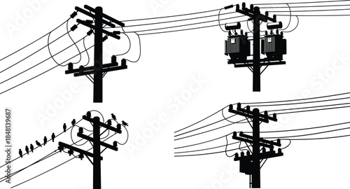 Utility pole, transformer, power lines, silhouette, black and white, insulator, crossarm, bird, infrastructure, electricity, sketch, technical, distribution, industrial, overhead, 
