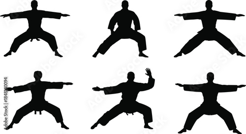 Silhouettes of martial artists in dynamic stances and uniforms, demonstrating strength, balance, discipline, training techniques, flat vector illustration