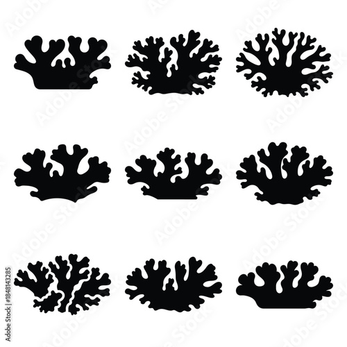 lichen texture silhouette icon set