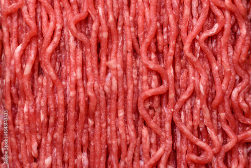 Wallpaper Mural Raw ground beef or pork for burgers or meatballs with salt and spices. Raw ground beef Torontodigital.ca