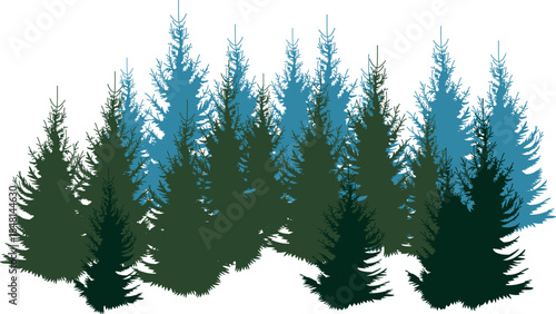 Background with silhouettes of fir trees