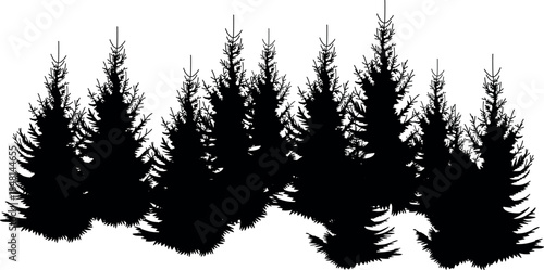 Black silhouette of a spruce forest isolated on white background	