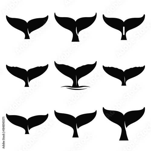 whale tail silhouette icon set