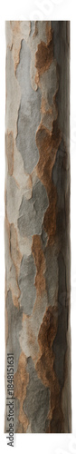 Mottled eucalyptus stem featuring gray and brown bark.