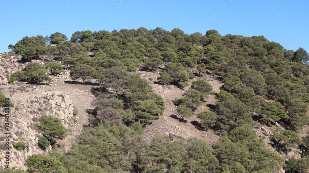Fototapeta premium Mount Gurugu - Gourougou (Nador Province, Oriental region, Kingdom of Morocco)