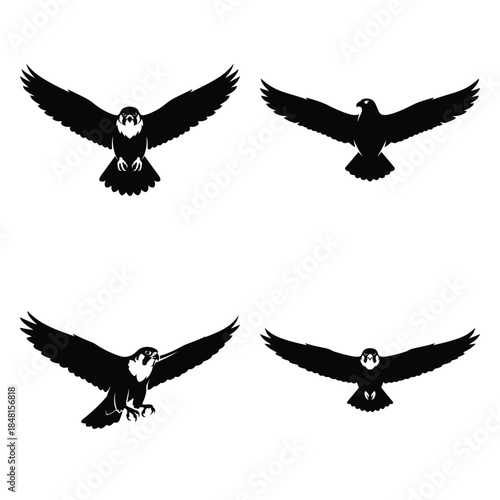 uae falcon icons set