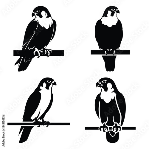 uae falcon perch icons set