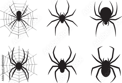Collection of black spiders and webs in different poses Vector, illustration