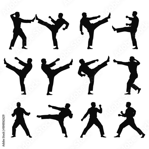 Martial arts and sports silhouettes of people jumping running and exercising