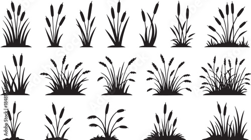 Collection of various grass silhouettes on white background Vector, illustration