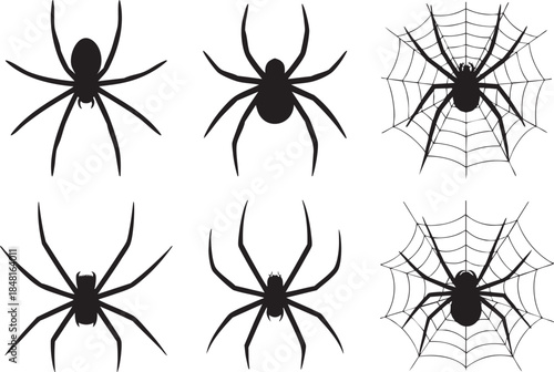 Collection of black widow spiders and webs in various poses Vector, illustration