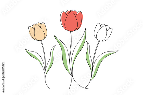 Fresh Spring Tulips Botanical Line Art