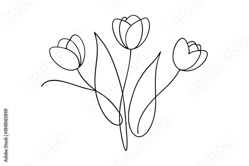 Blooming Tulip Bouquet Line Illustration
