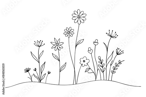 Natural Wild Flower Botanical Illustration