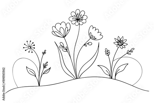 Delicate Wildflowers Meadow Line Sketch