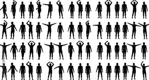 Human body silhouette poses set showing standing stretching and movement positions isolated black vector illustration for anatomy fitness and motion design concepts