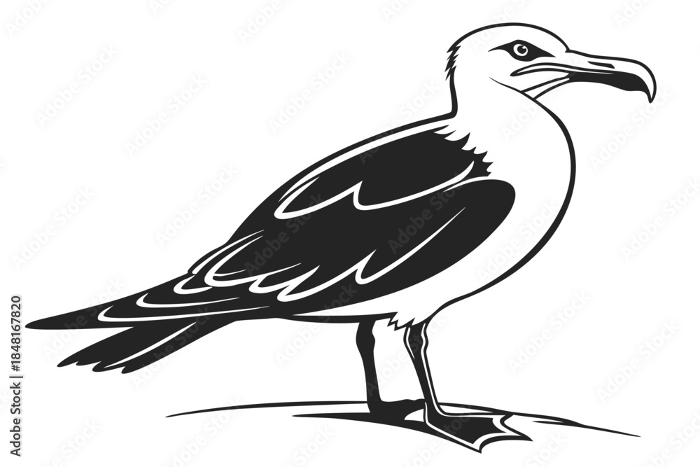 Obraz premium Elegant Seagull Standing Vector Illustration