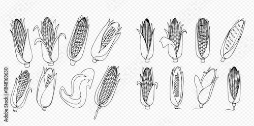 Hand-drawn black and white sketch illustration of various corn on the cob designs.