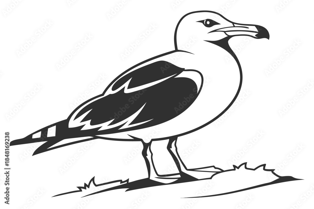 Fototapeta premium Stylized Black and White Seagull Illustration