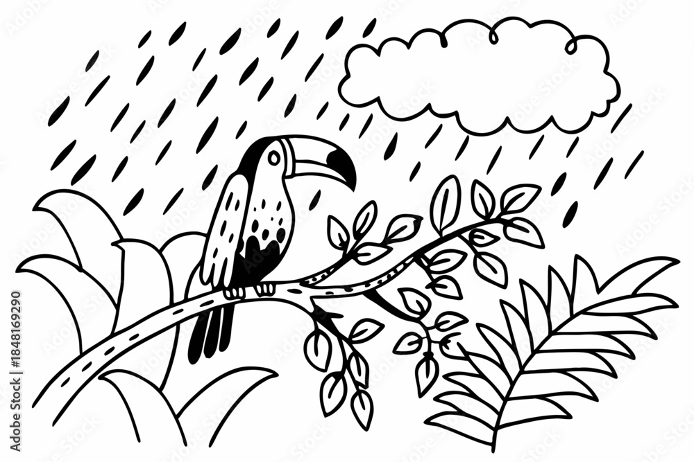Obraz premium Tropical Toucan Bird Perched on Branch in Rain