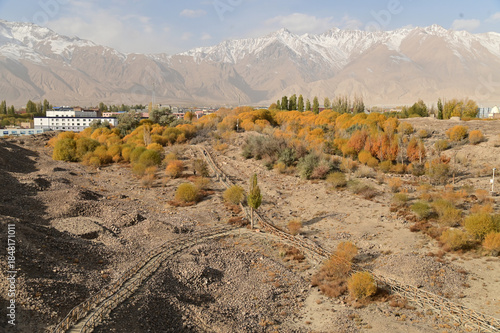 Hu yanlin tree park in yellow leaves near the Tashkurgan Stone City was a small fortified city with multiple layers of walls. Location: Tashgur City, Tajikistan Autonomous Region, Xinjiang, China.