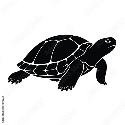 Black silhouette of a turtle on a white background