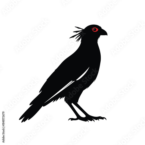 Hoatzin bird silhouette with distinctive crest and red eyes