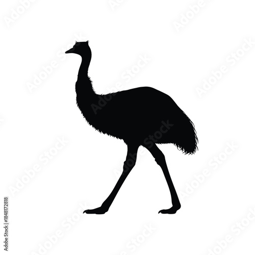 Silhouette of an ostrich in profile view