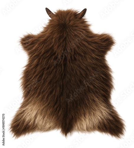 Himalayan tahr hide featuring thick, shaggy brown fur and a lighter underlayer.