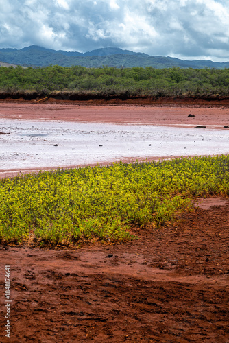 Hanapepe Salt Pond Beach Park on Kauai, HI