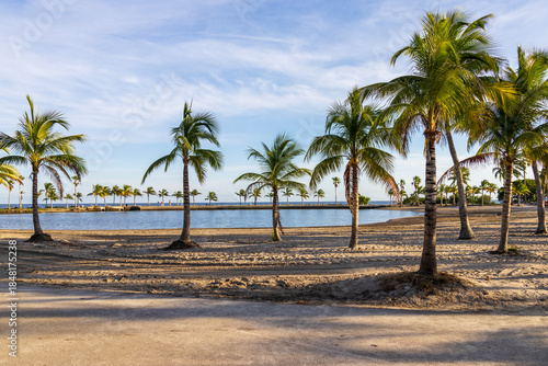 Matheson Hammock Park at sunset in Coral Gables Florida USA