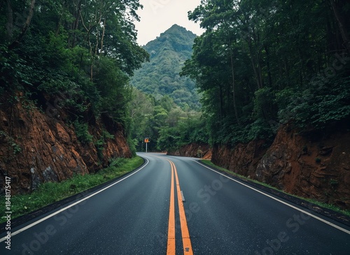 Winding road through dense forest with perspective