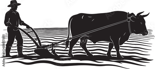 Black silhouette of a farmer and ox plowing a field with a traditional plow on a white background symbolizing agricultural labor and rural heritage also transparent background