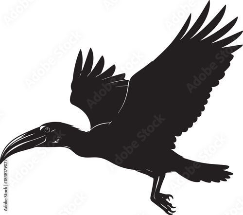 Silhouette of a bird with a long curved beak and outstretched wings in mid-flight, showcasing its distinctive profile against a white background, symbolizing freedom and also transparent background