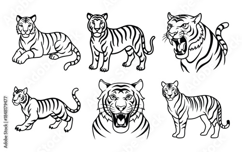 Tigers vector illustration set of wild animals