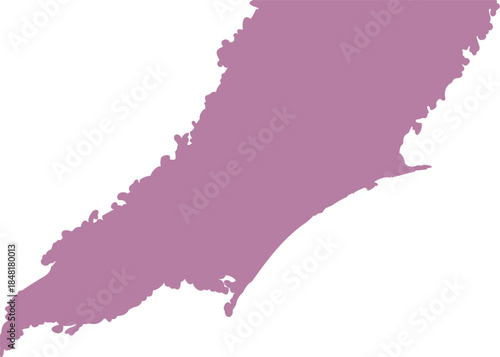 A minimalist abstract illustration featuring a single organic pink shape with soft edges on a solid, creating a bold and modern visual contrast.