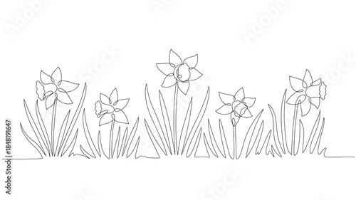 Delicate daffodil floral arrangement line art perfect for spring designs on transparent background silhouette