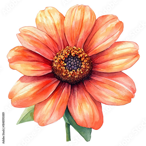 Mexican Sunflower Flower, clipart watercolor vector with vivid accents and harmonious tones, isolated on a white background.