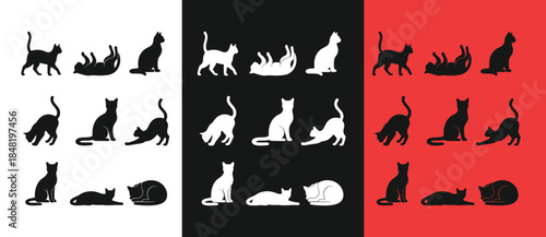 Silhouette patterns of cats in various poses on tricolor background