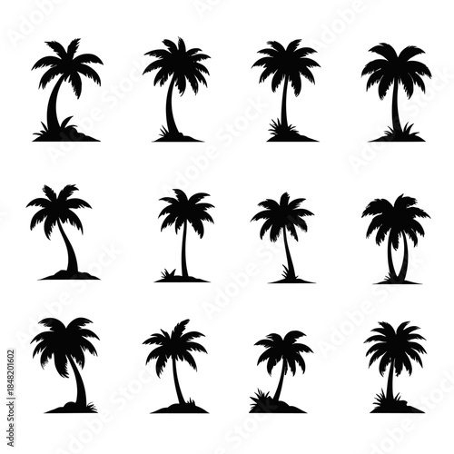 Collection of 12 black vector palm tree silhouettes featuring various shapes and sizes, isolated on a white background, perfect for summer logos, beach icons, and travel designs