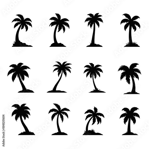 Collection of 12 black vector palm tree silhouettes featuring various shapes and sizes, isolated on a white background, perfect for summer logos, beach icons, and travel designs