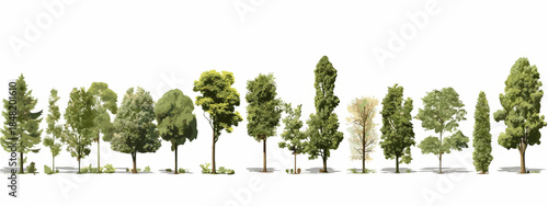 High-quality collection of realistic trees in various shapes and sizes, including pine, oak, and cypress, arranged in a row and isolated on a white background with shadows, perfect for architectural 