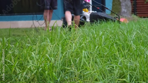The lawnmower is seen from a low angle view as it trims the tall grass in a backyard. A landscaper is using the machine to maintain the garden