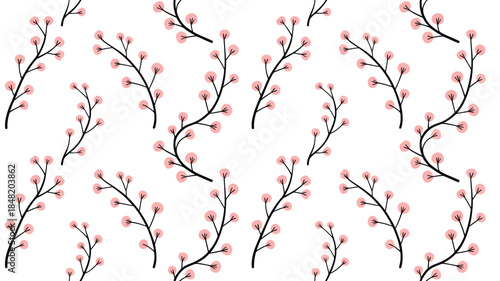 Delicate pink cherry blossom branches on white background