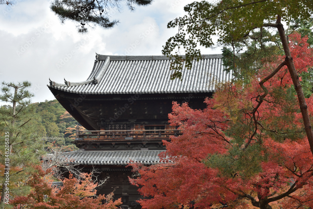 Obraz premium 南禅寺 秋色に染まる三門(京都市左京区)