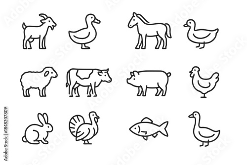 Farm Animals Icons Set on Dark Background