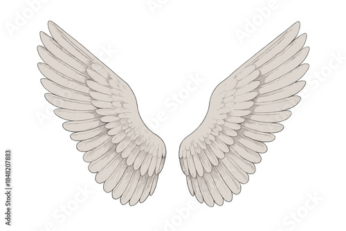 Pair of white angel wings spreading outwards with a soft glow