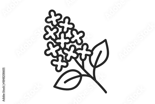 Lilac flower branch icon outline on gradient background